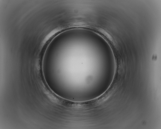 X0000091551458200708171256