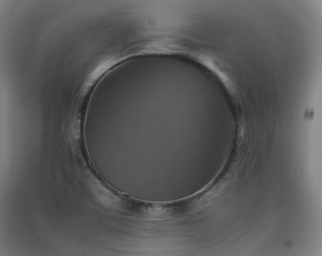 X0000091551459200708171256