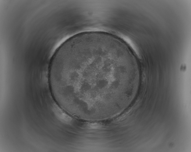 X0000091551460200708171256
