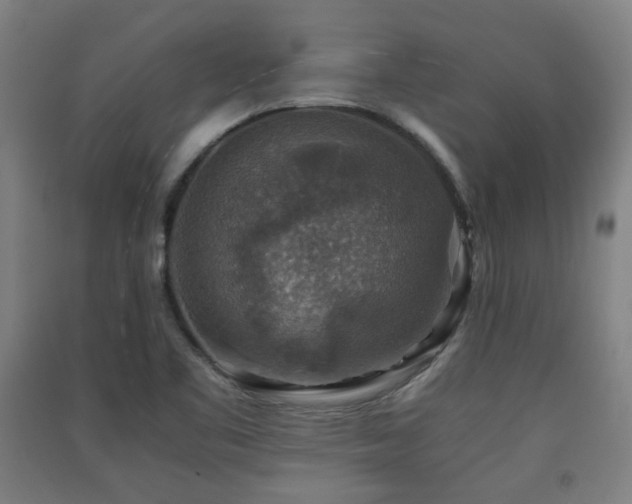 X0000091551461200708171256
