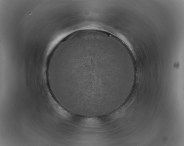 X0000091551464200708171256