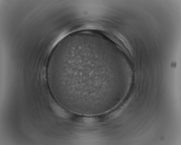 X0000091551465200708171256