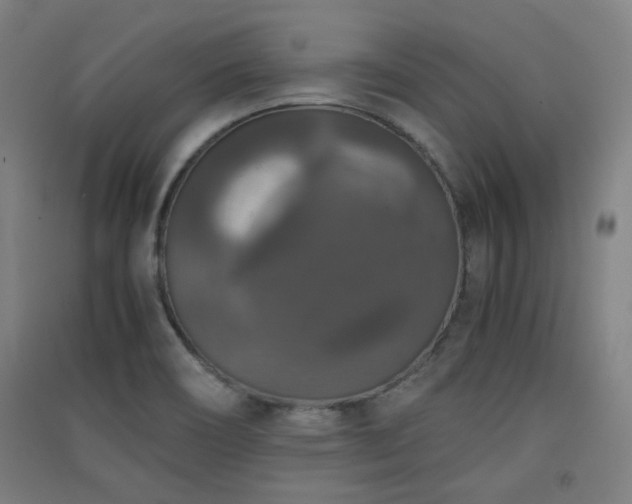 X0000091551466200708171256
