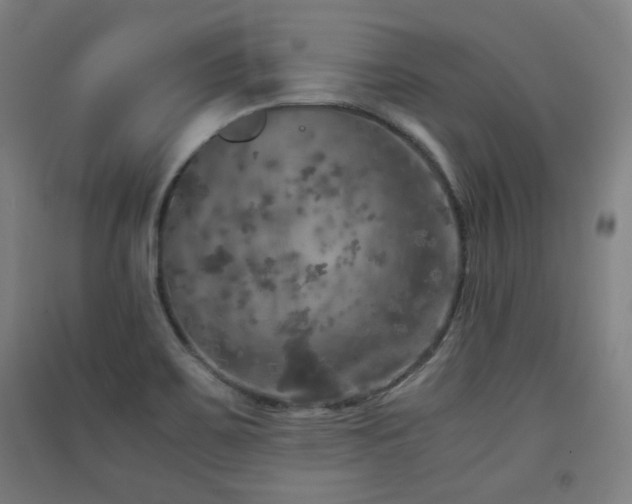 X0000091551467200708171256