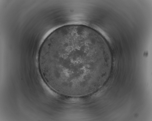 X0000091551468200708171256