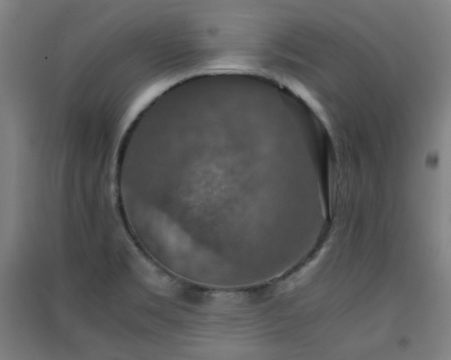X0000091551469200708171256