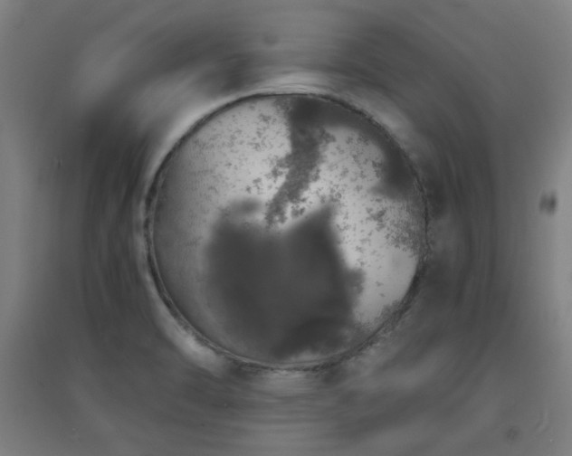X0000091551470200708171256