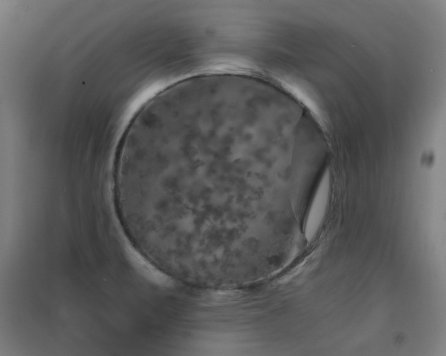 X0000091551471200708171256