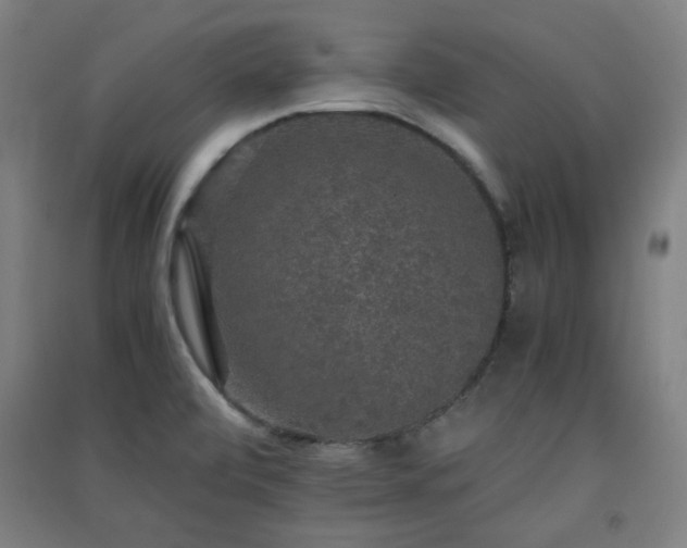 X0000091551472200708171256