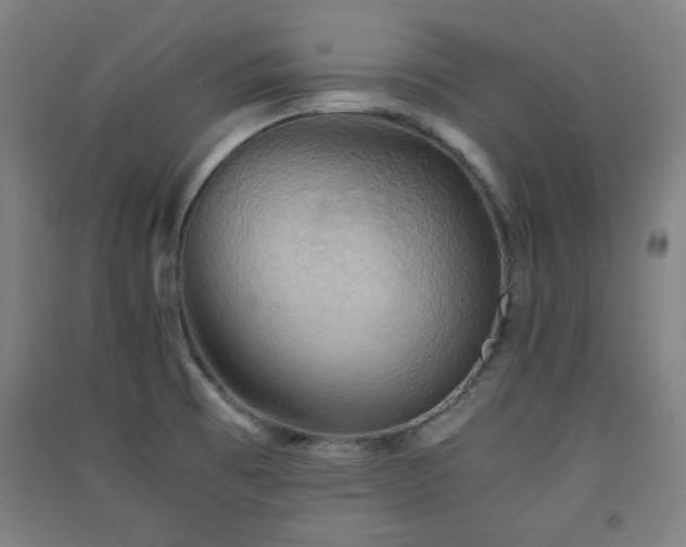 X0000091551473200708171256