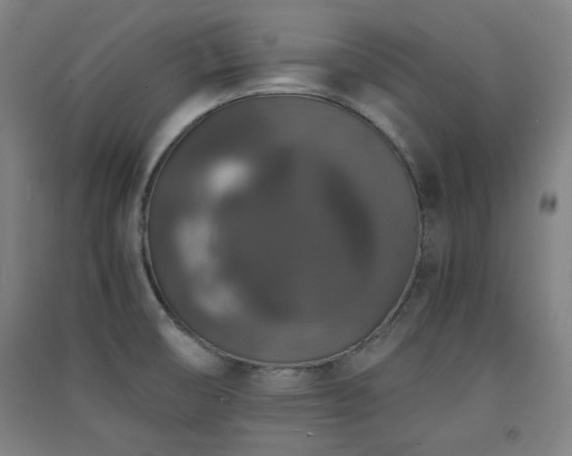 X0000091551474200708171256