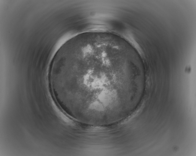 X0000091551475200708171256