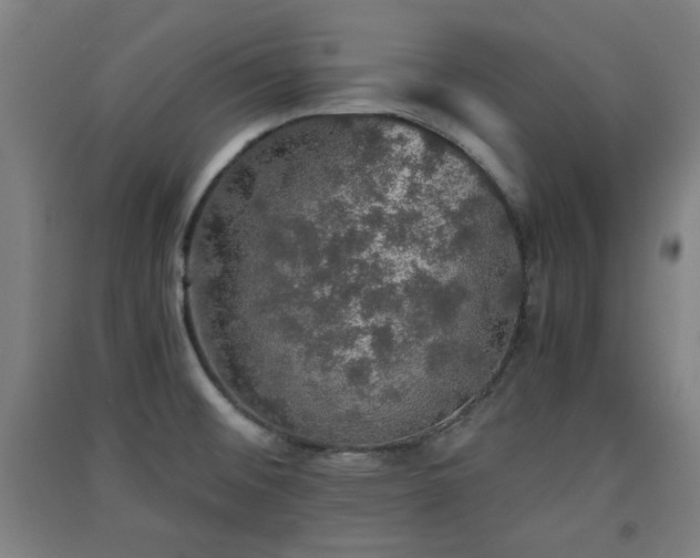 X0000091551476200708171256