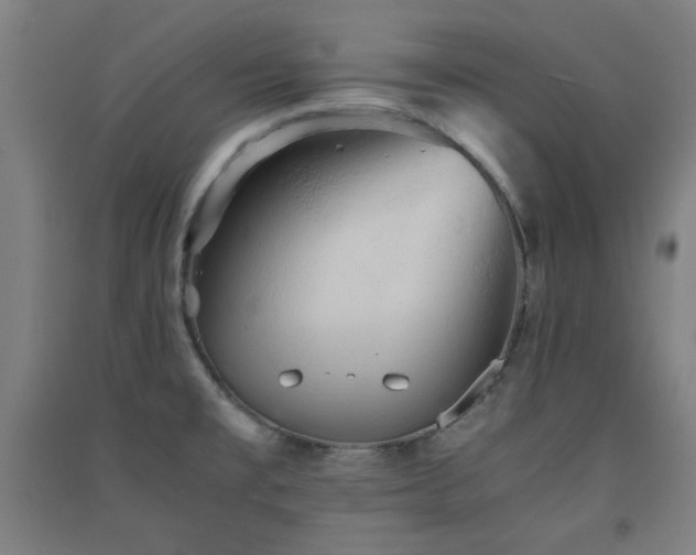 X0000091551477200708171256
