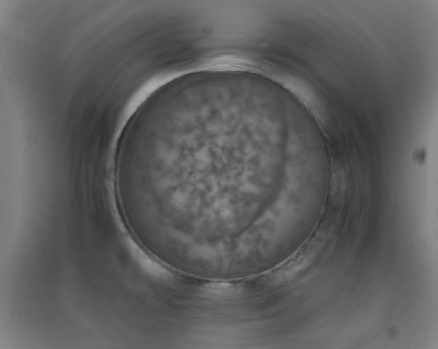 X0000091551478200708171256