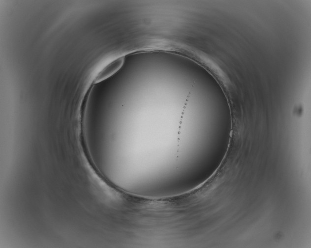 X0000091551479200708171256