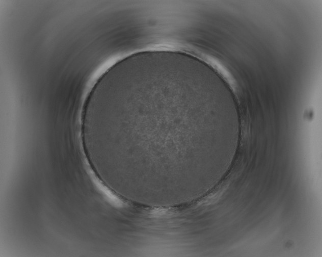 X0000091551480200708171256