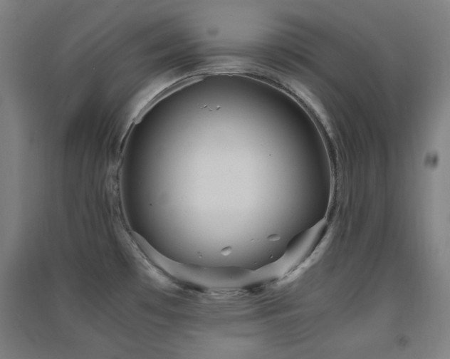 X0000091551481200708171256