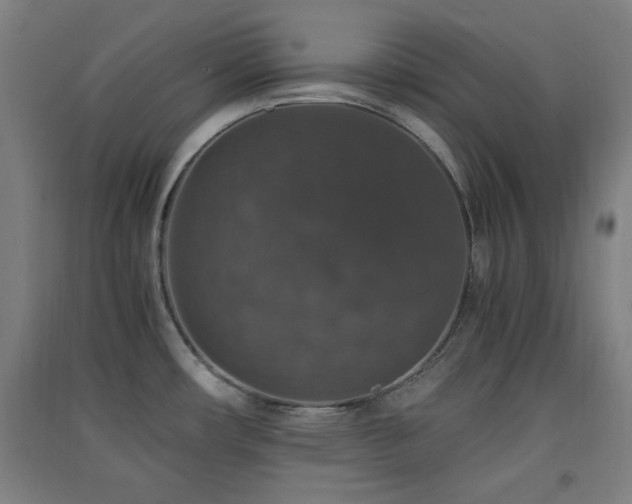X0000091551482200708171256