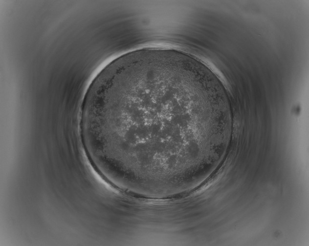 X0000091551484200708171256
