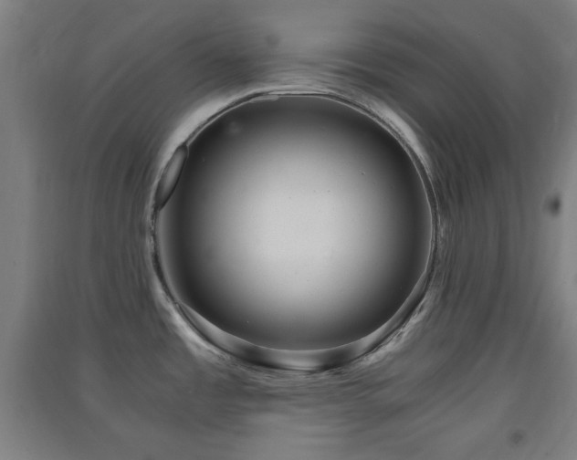 X0000091551485200708171256