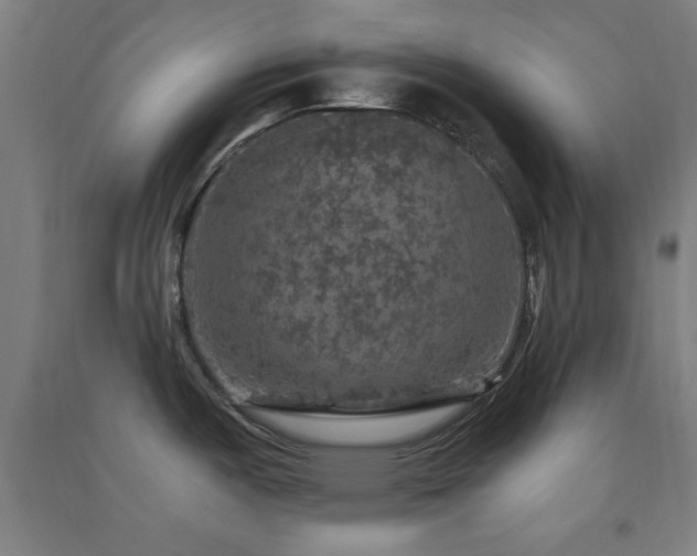 X0000091551487200708171256