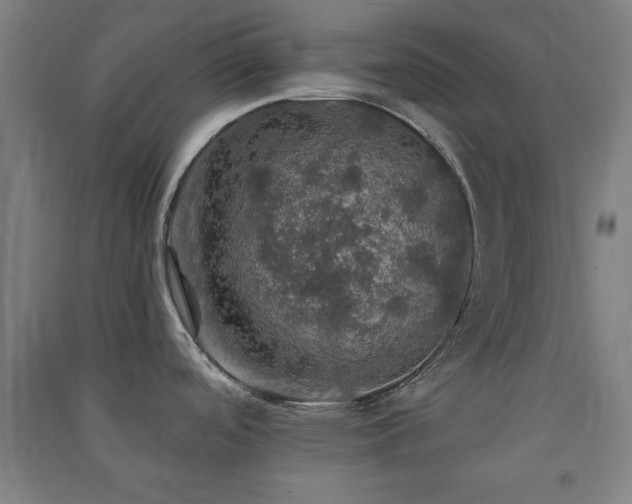 X0000091551488200708171256