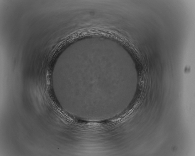 X0000091551490200708171255