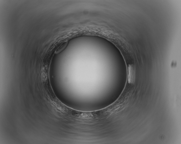 X0000091551491200708171255