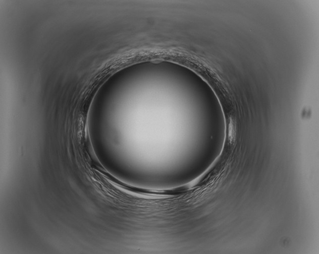 X0000091551492200708171255