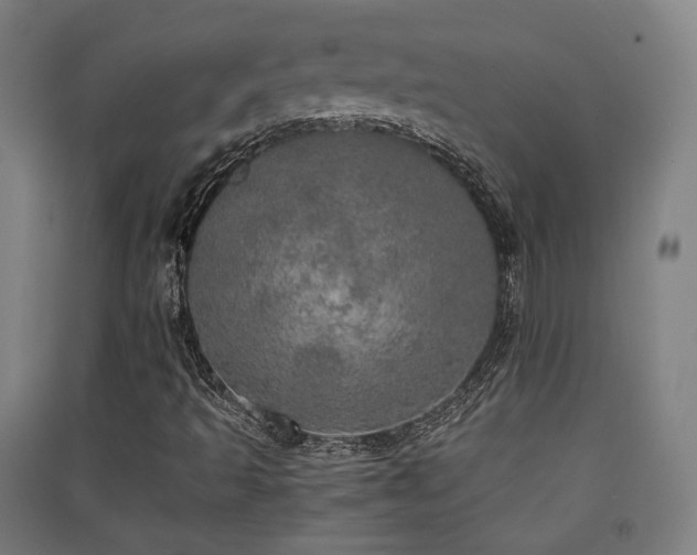 X0000091551493200708171255