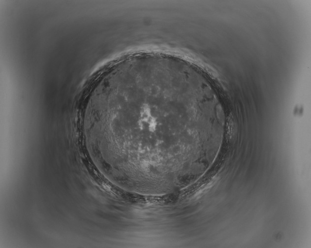 X0000091551494200708171255