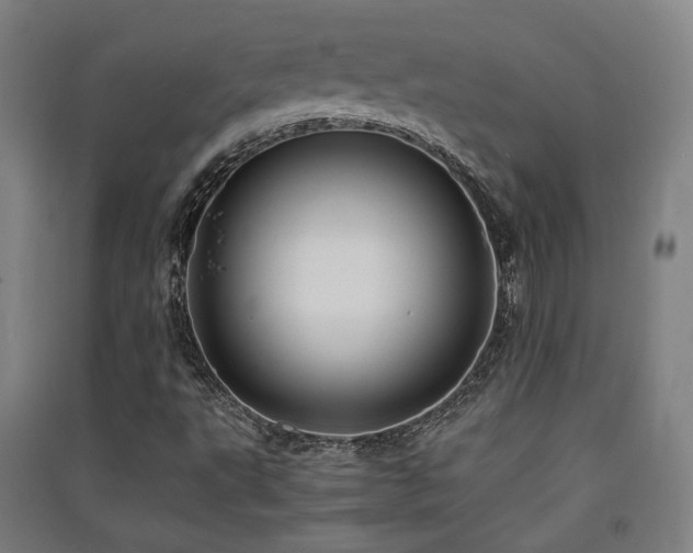 X0000091551495200708171255