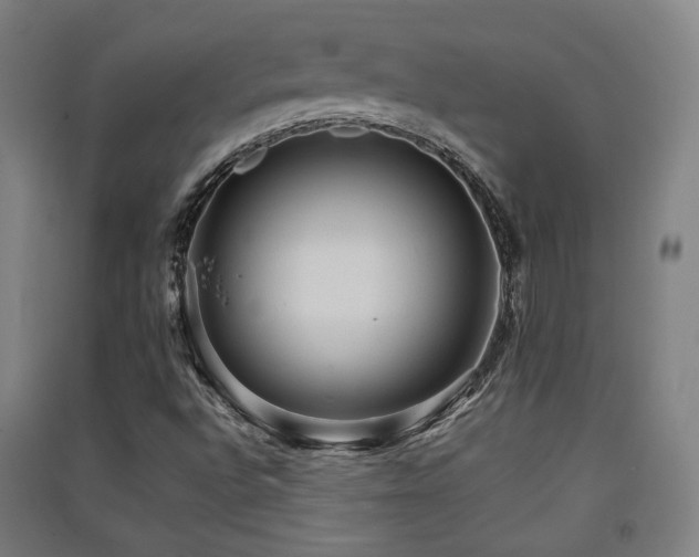 X0000091551496200708171255