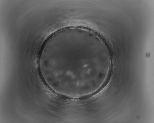 X0000091551497200708171255