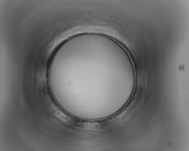 X0000091551498200708171255