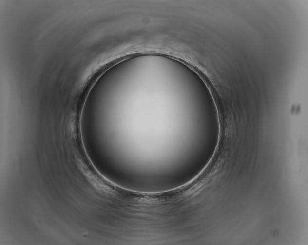 X0000091551499200708171255
