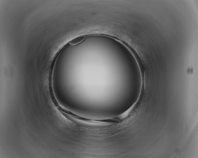 X0000091551500200708171255