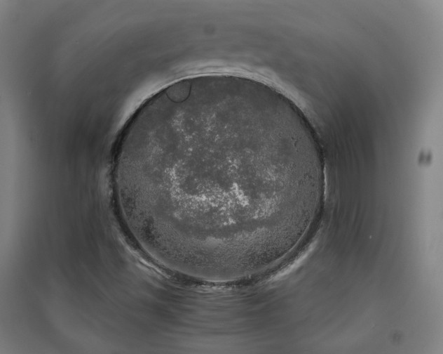 X0000091551501200708171255