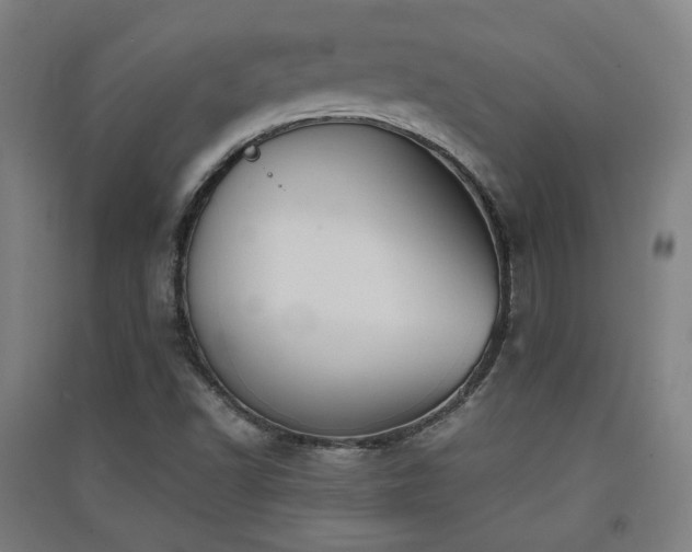 X0000091551502200708171255