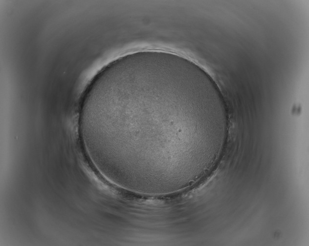 X0000091551503200708171255