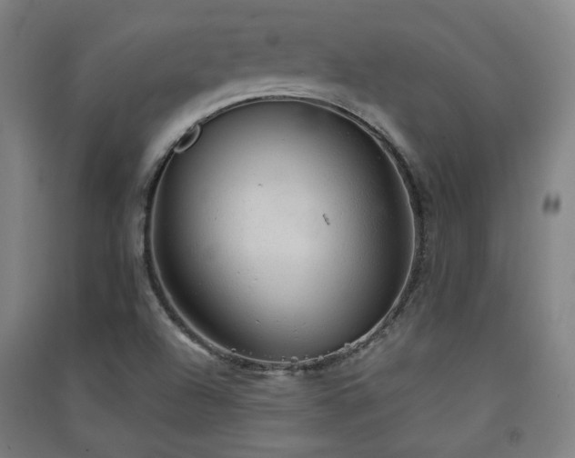 X0000091551504200708171255