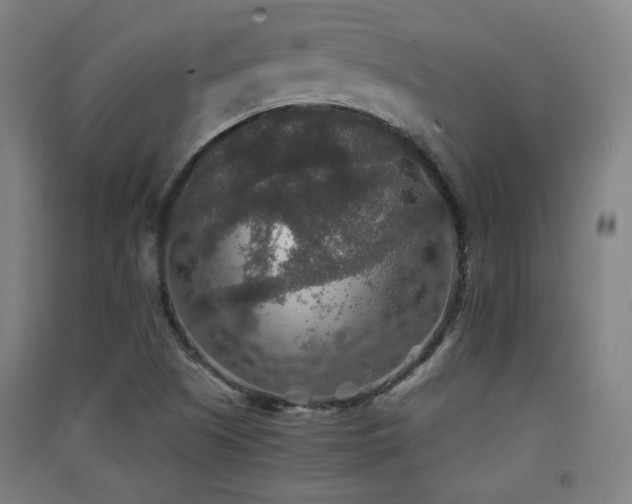 X0000091551505200708171255
