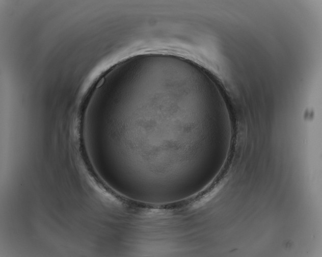 X0000091551506200708171255