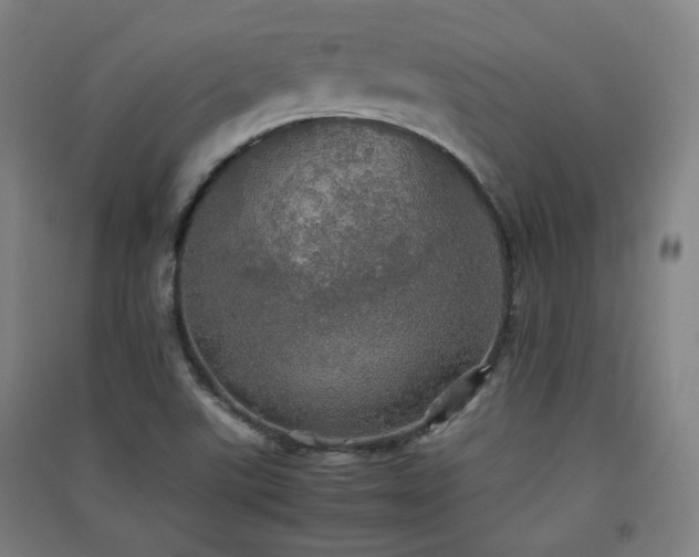 X0000091551507200708171255