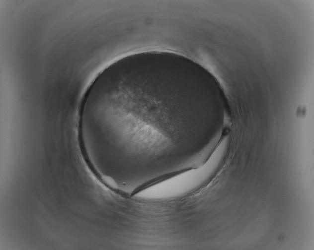 X0000091551508200708171255