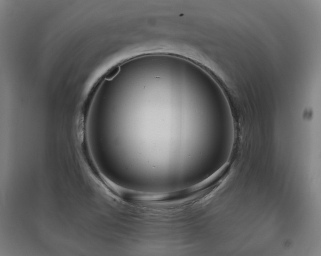 X0000091551510200708171255
