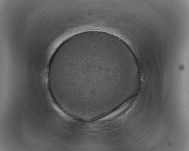 X0000091551511200708171255