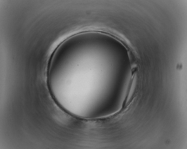 X0000091551512200708171255