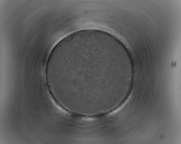 X0000091551513200708171255